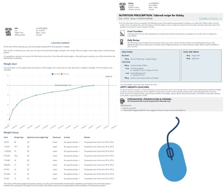coaching for a puppy follow up